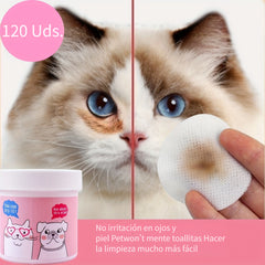 Professional Stainless Steel Kitchen Knife Set