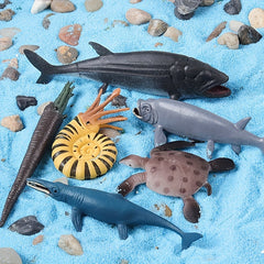 12pcs Prehistoric Animal Models: Sea Turtles, Leeds Fish, Taiman Fish, D
