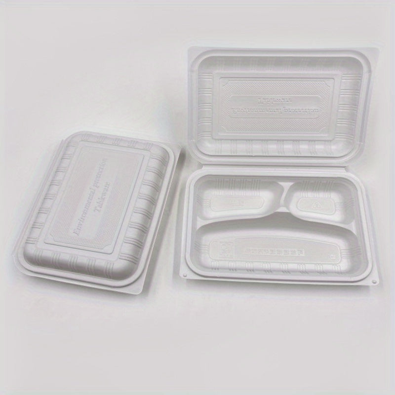Square Disposable Lunch Box for Takeout