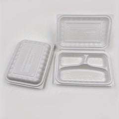 Square Disposable Lunch Box for Takeout
