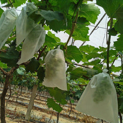 200pcs Non-woven Grape Bag Lotus Mist Bird Proof Fruit Bag 6-7 inch