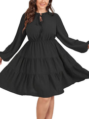 Casual Dress Women's Solid Long Sleeve Round Neck Smock Tie Dress