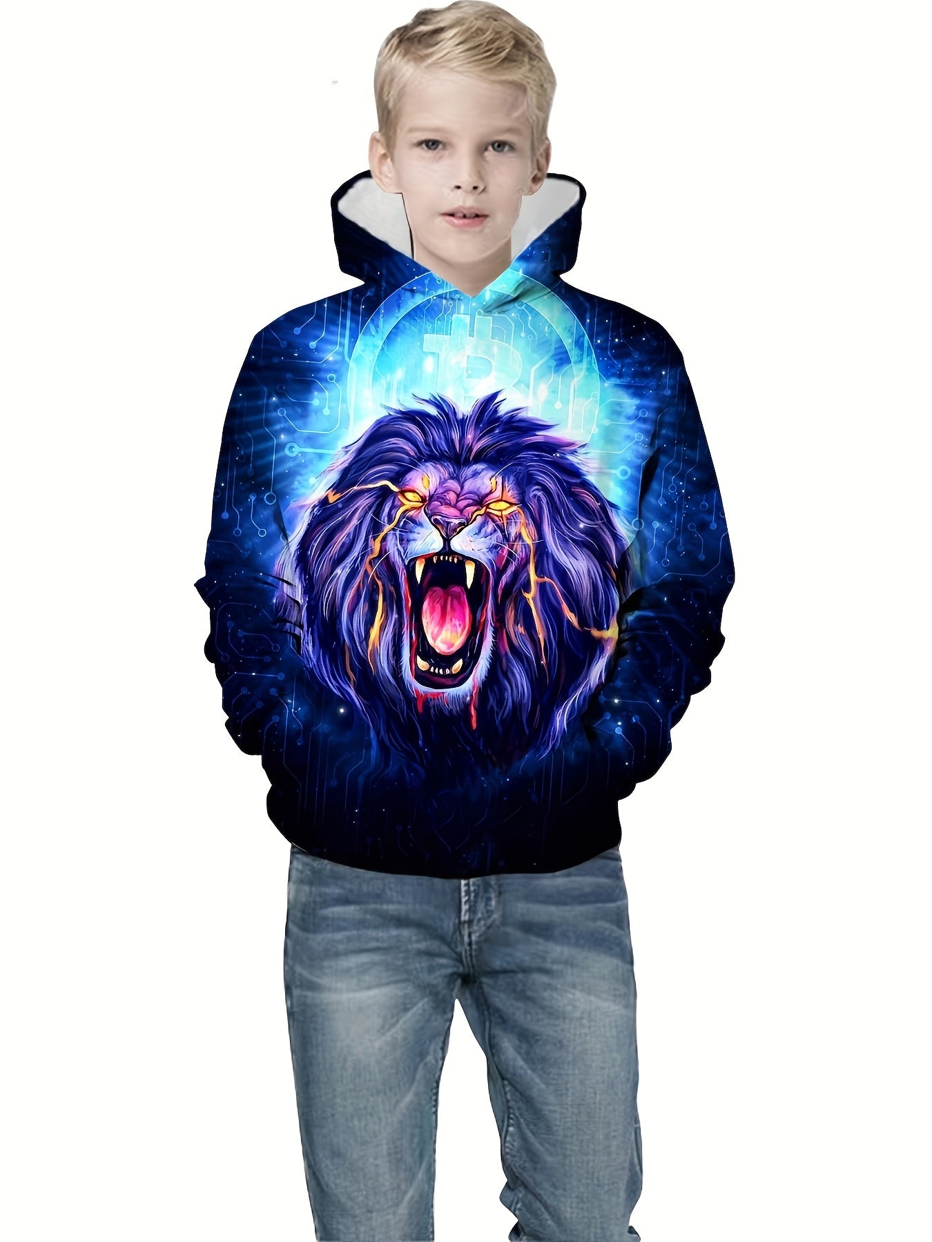 Colorful Lion Print Boys Hooded Sweatshirt