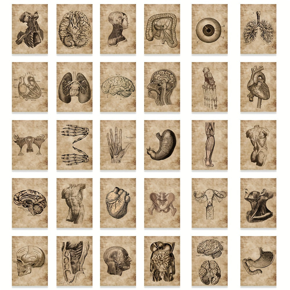 50pcs Human Skeleton Stickers Waterproof Vinyl Decals