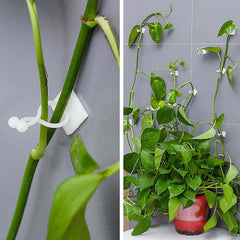 10pcs Plant Climbing Wall Rack 3 in 1 Plant Hanging Rack