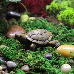 Small Turtle Ornament for Gardening Landscaping and Flower Pot Decoration