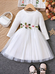 Girls Flowers Embroidered Belt Mesh Tutu Dress