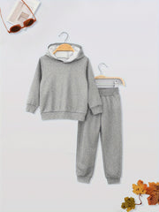 Boys Toddler Hooded Sweatshirt & Sweatpants Set