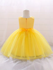 Baby Princess Birthday Dress with Flower Decor