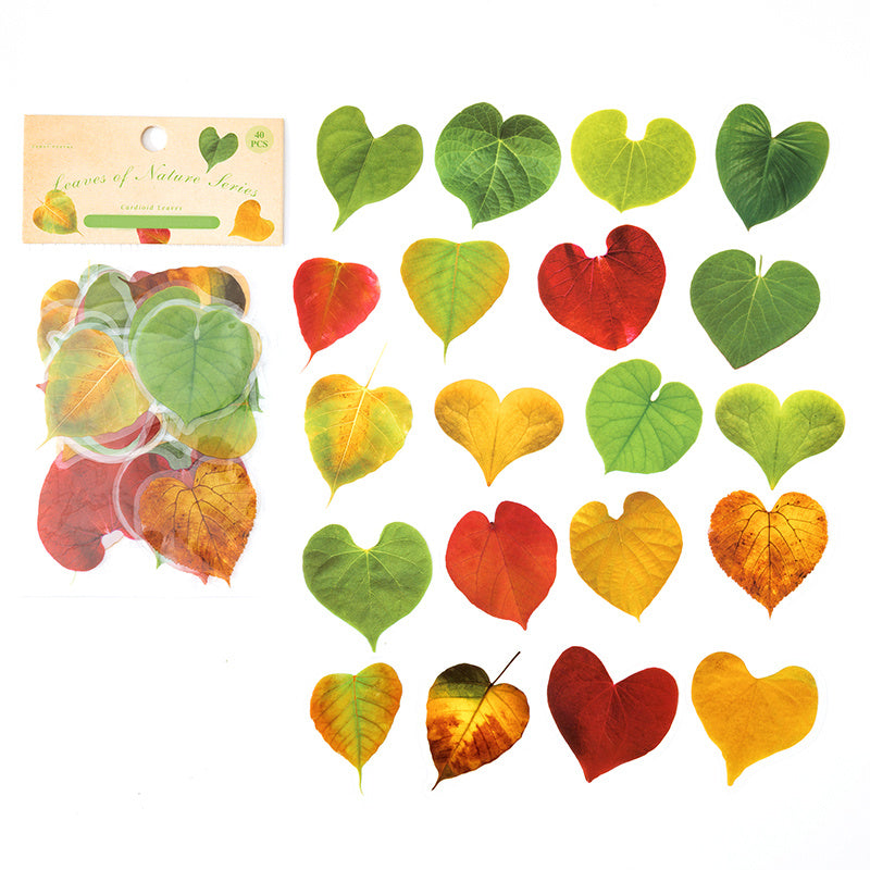 Plant Leaf Stickers Pack Of 40 DIY Decorative Art PET Material Nature Series