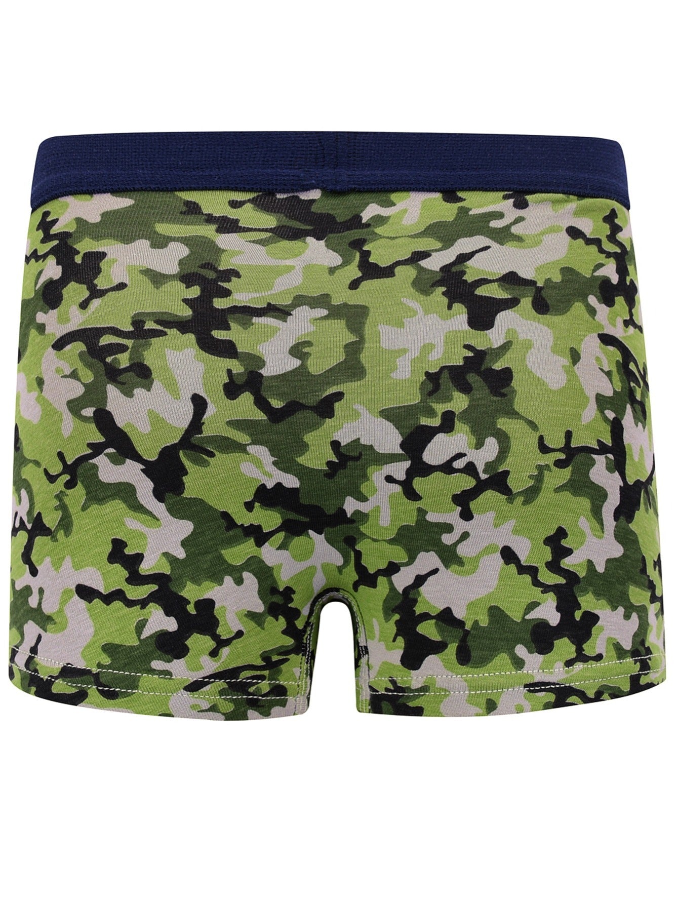 5pcs Boys Dinosaur Boxer Briefs Cotton Underpants