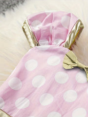 Toddler Princess Dress Mesh Dress Baby Girl Birthday Party Play Dress