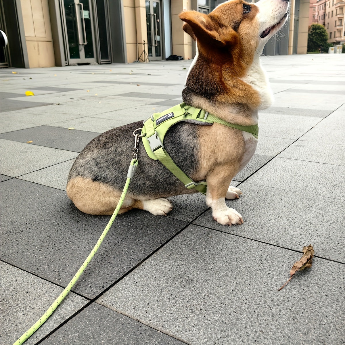 img_5502352