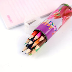 DIY Painting Supplies Set - Colored, Drawing, and Paint Pencils