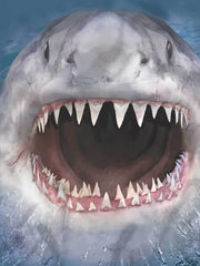 Shark 3D Pattern Print Boys Sweatshirt Hoodie Spring Fall