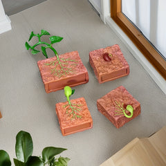 Bean Sprout Salmon Chicken Growth Model