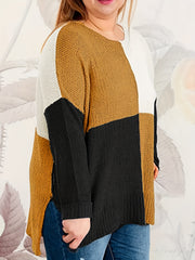 Colorblock Crew Neck Sweater