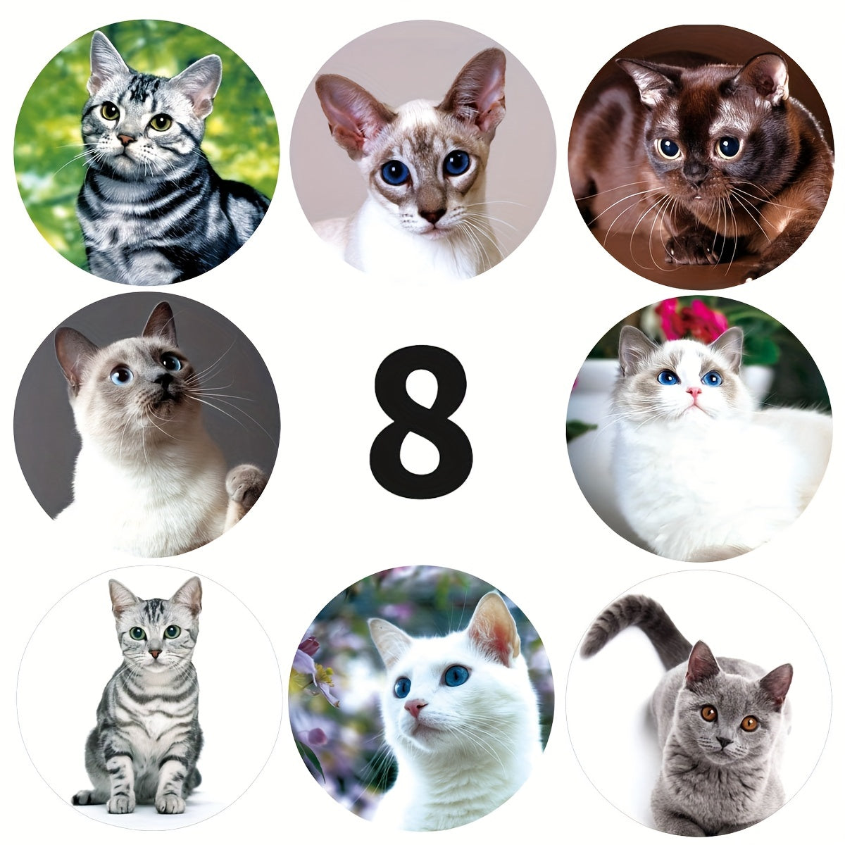 500pcs Animal Cat Stickers 2.54cm School Children Stationery Reward Stickers