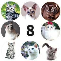 500pcs Animal Cat Stickers 2.54cm School Children Stationery Reward Stickers