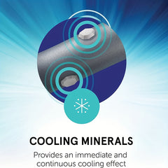 4pc Horse Boots: Protective & Breathable for Comfort & Durability