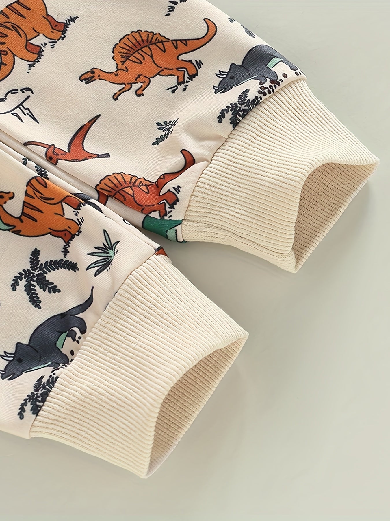Baby Boys Dino Outfit Long Sleeve Top Pants 2pcs Set