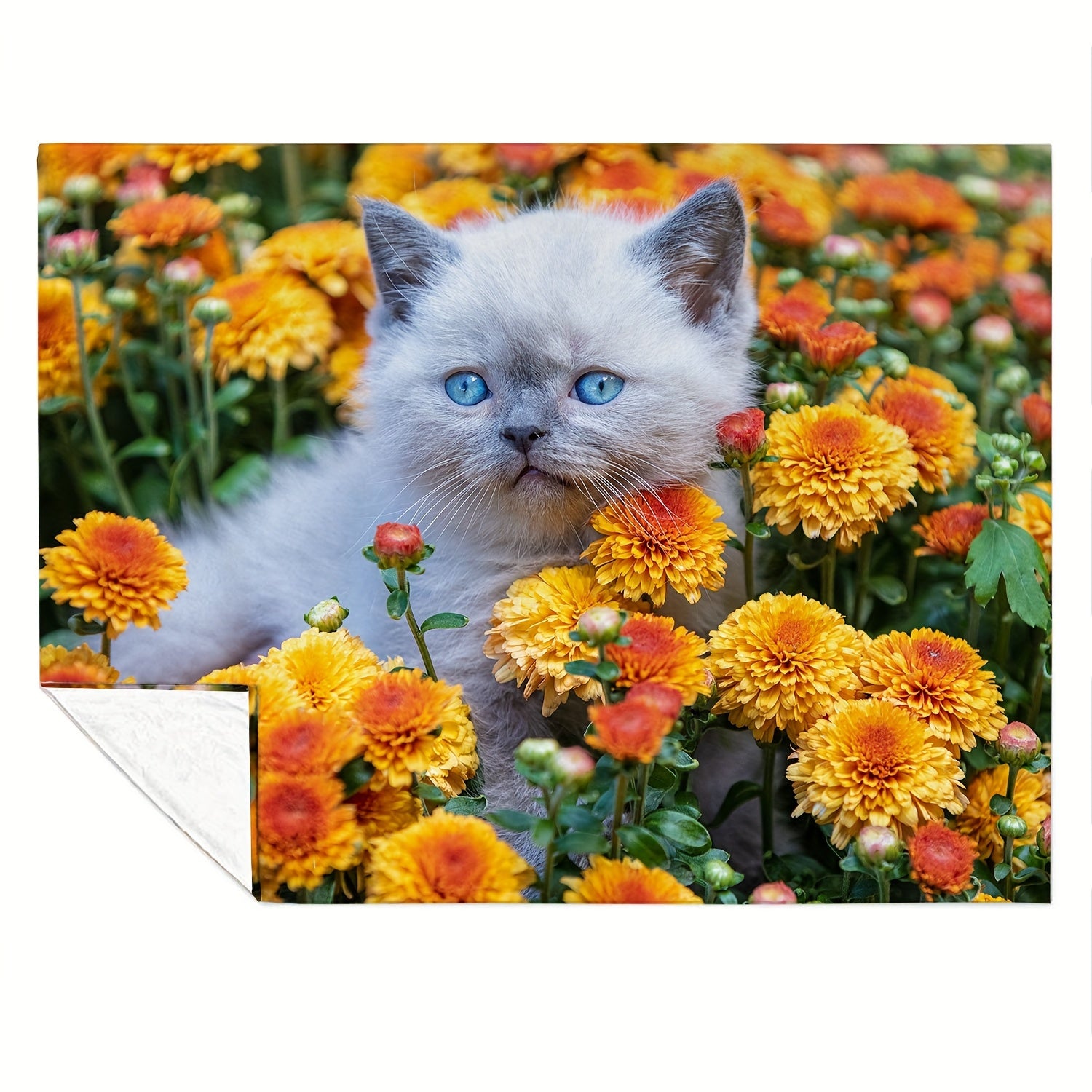 Cat Blanket Soft Lightweight Comfortable Blanket For Couch Bed Travel