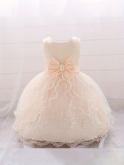 Baby Girls Floral Embroidery Princess Dress