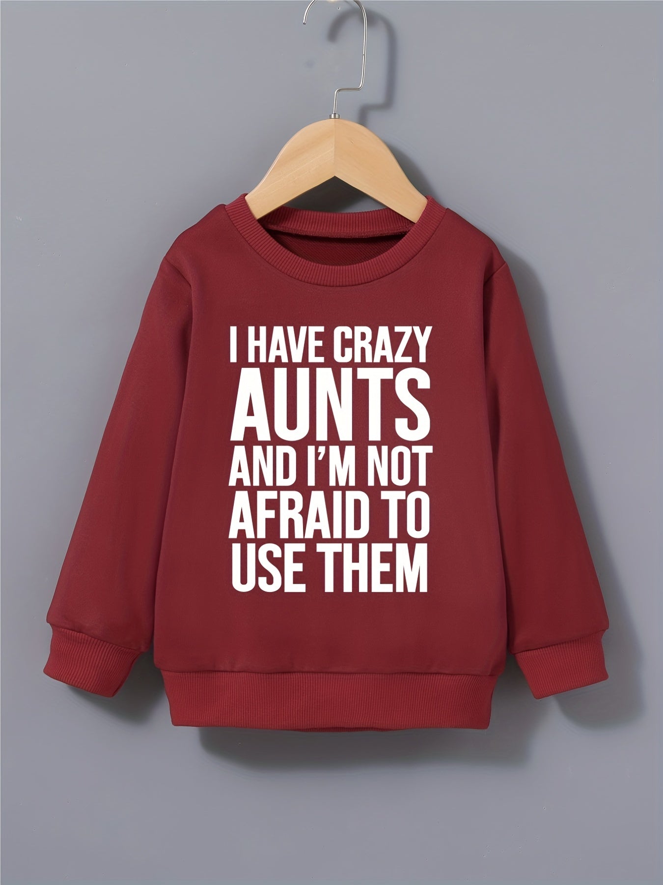 Boys Sweatshirt Round Neck Long Sleeve Pullover I HAVE CRAZY AUNTS Print