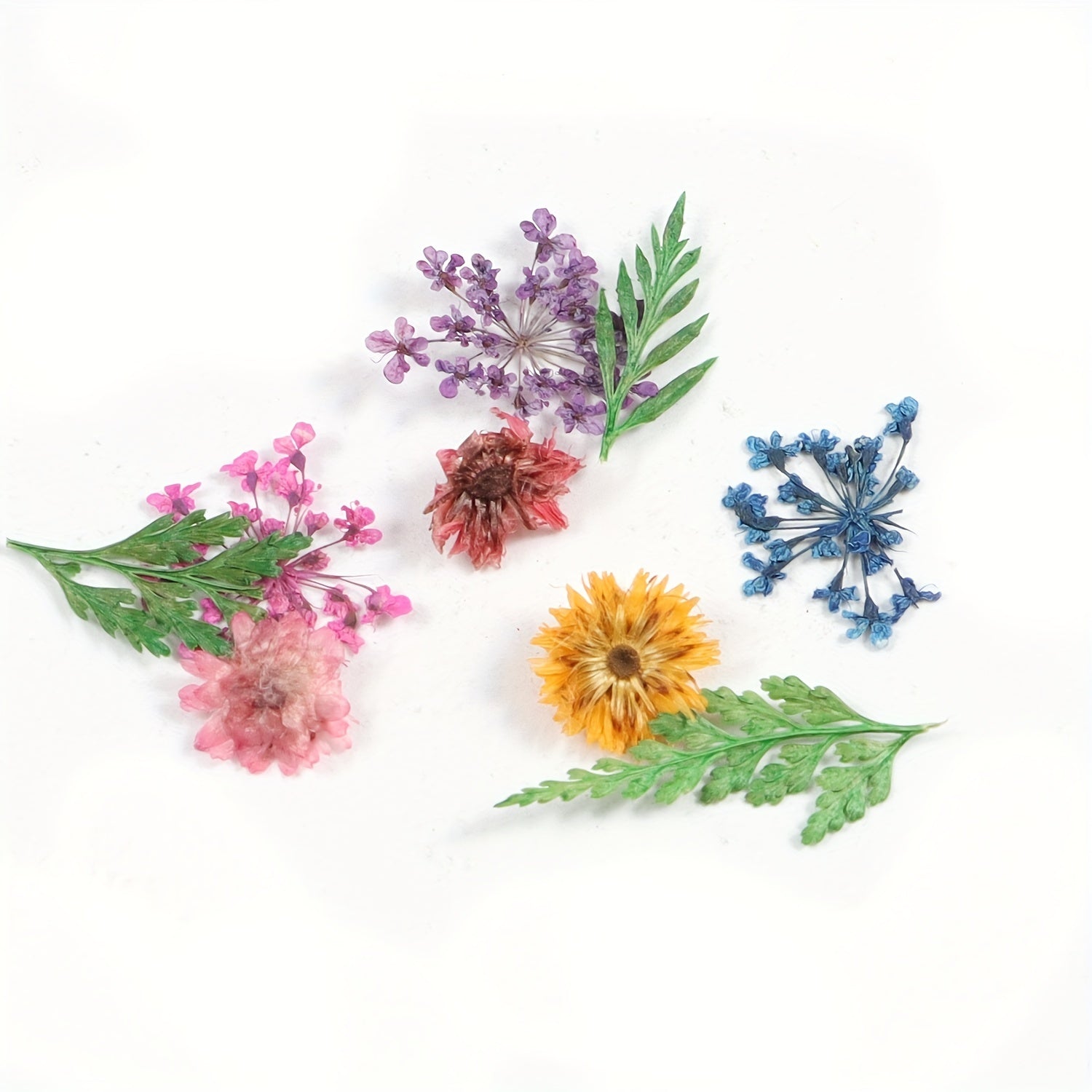 Natural Dried Flower Daisy Pressed Dried Flower With Leaf Resin Mold Fillings