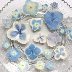 Hydrangea Dried Flower Resin Embossed DIY Kit