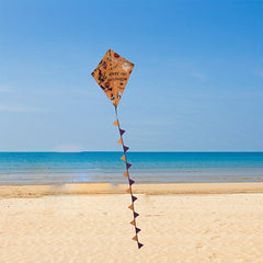 Halloween Cartoon Pattern Kite for Outdoor Fun