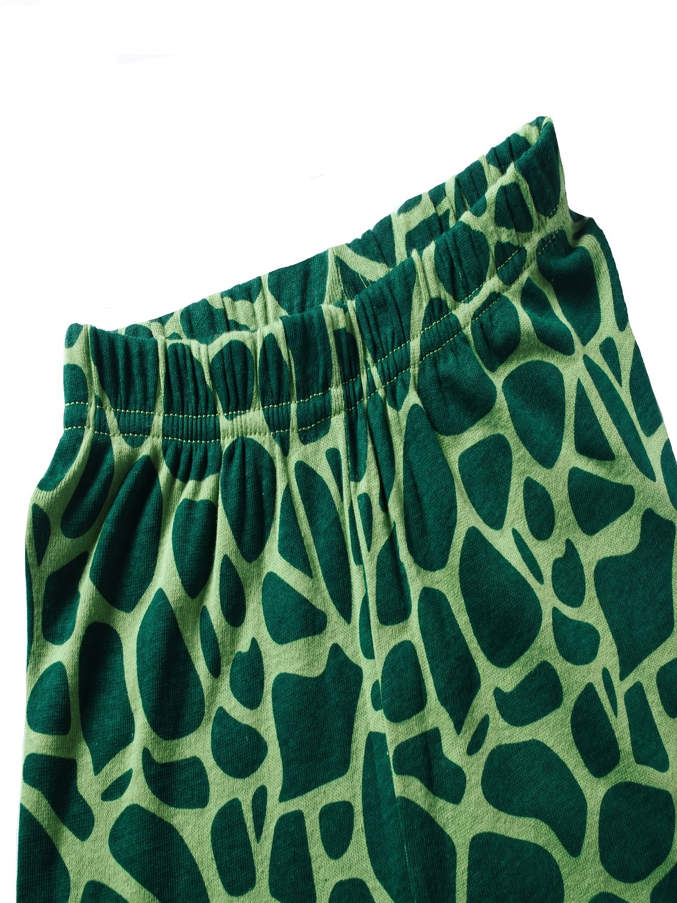 2pcs Boys Dinosaur Pajama Set Crew Neck Loungewear