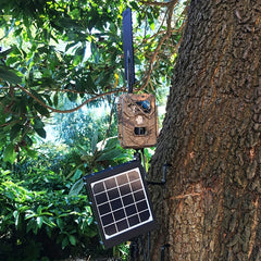 Trail Camera Tree Mount with Screw Mounting Bracket