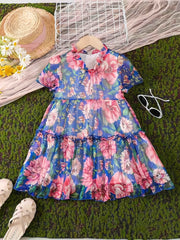 Baby Girls Ruffles Flowers Princess Dress Summer Clothes