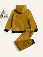 2pc Lion Print Hoodies Jogger Pants Set Kids Clothes For Boys Girls