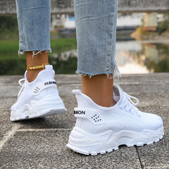 img_4040241