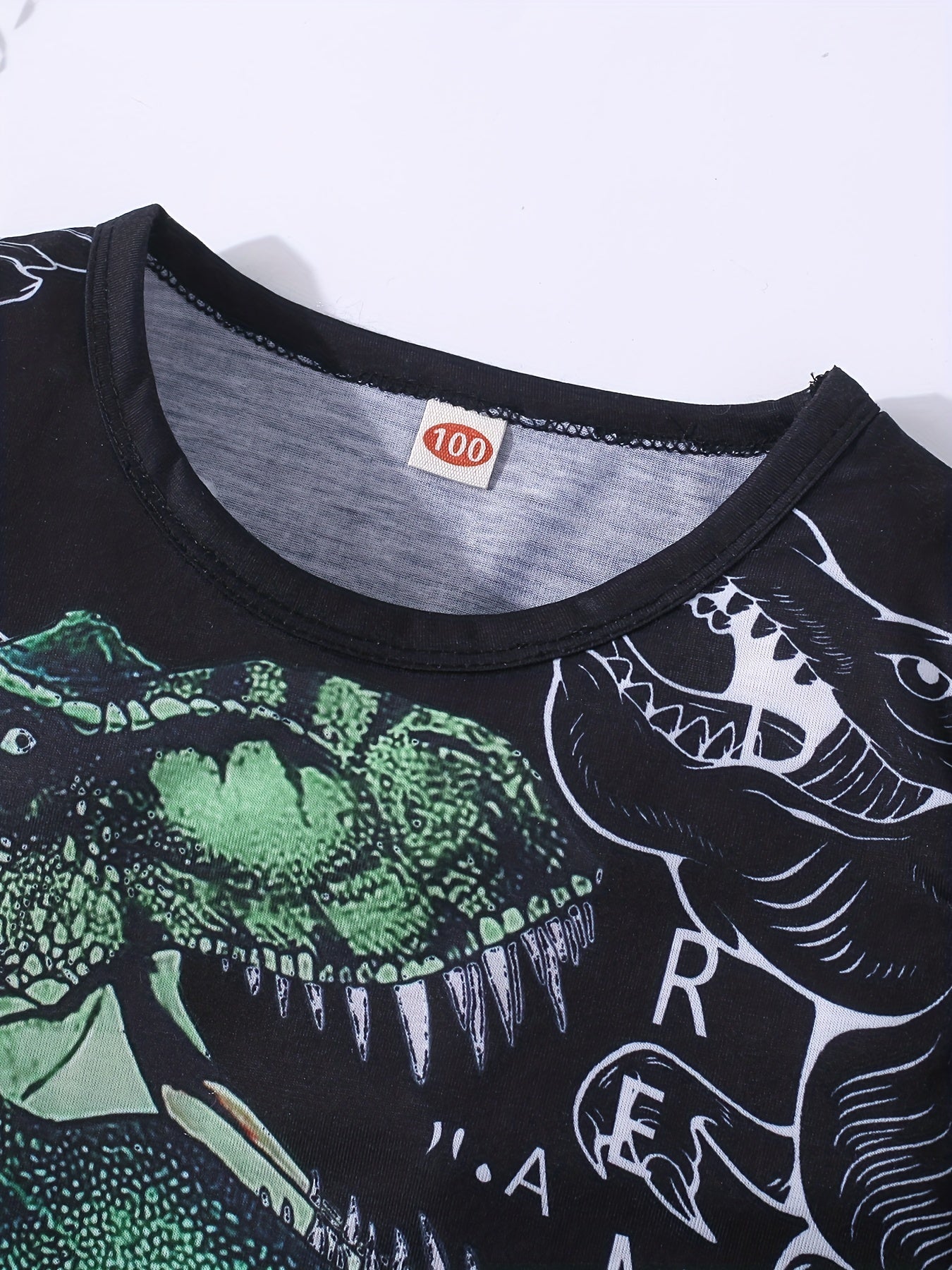 Boys Dinosaur Graphic Print T-shirt & Shorts Set Clothing