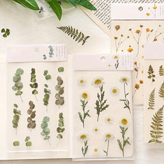 Flower Series PET Stickers for DIY Handbook Decoration Material - 6 Styles