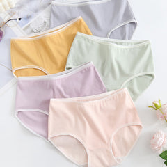 5 Pcs Cotton Panties Comfy Mid Rise Stretch Briefs Women's Lingerie