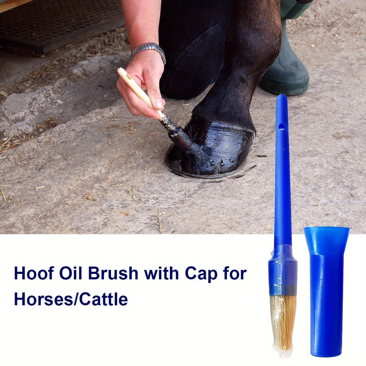 Portable Horse Hoof Brush with Cap