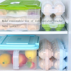 Multipurpose Fridge Egg Storage Box Double Layer Lid