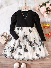 Girls Mesh Butterfly Embroidery Long Sleeve Dress