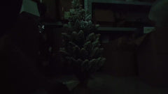 Small Christmas Tree With Lights 8 Light Modes Flocked Artificial Tree