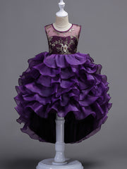 Girls Puffy Princess Dress Flowers Embroidery Layered Dress