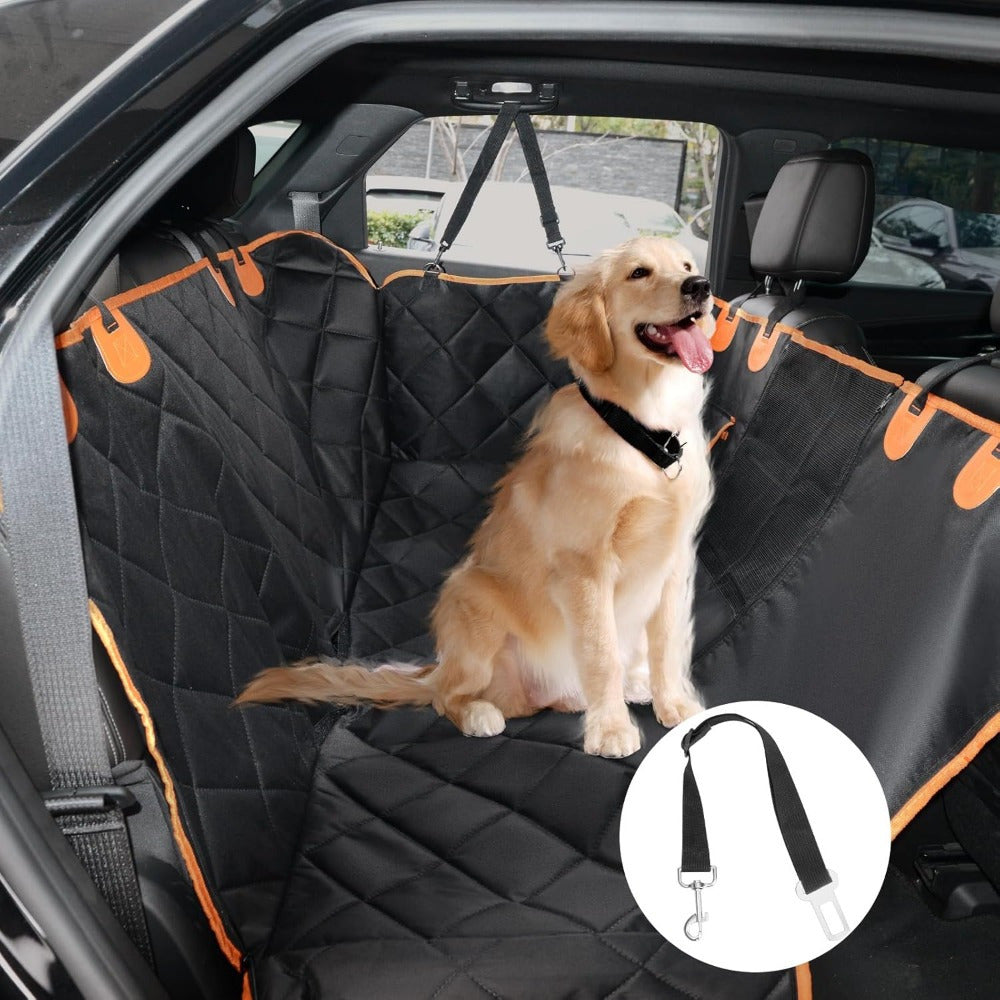 img_6472435