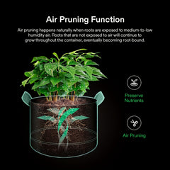 10 Packs 18.93 L Grow Bags Fabric Pots with Handles