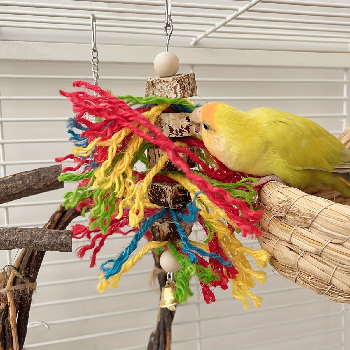 Colorful Bird Parrot Bite String Star Fruit Wood Toy For Peony Bird