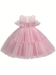 Toddler Girls Princess Dress with Hot Mesh Girls Holiday Dress