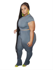Solid Crop Top & High Waist Pant Set Women's Plus Casual Co ords
