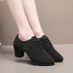 Soft Bottom Lace Up Jazz Dance Shoes